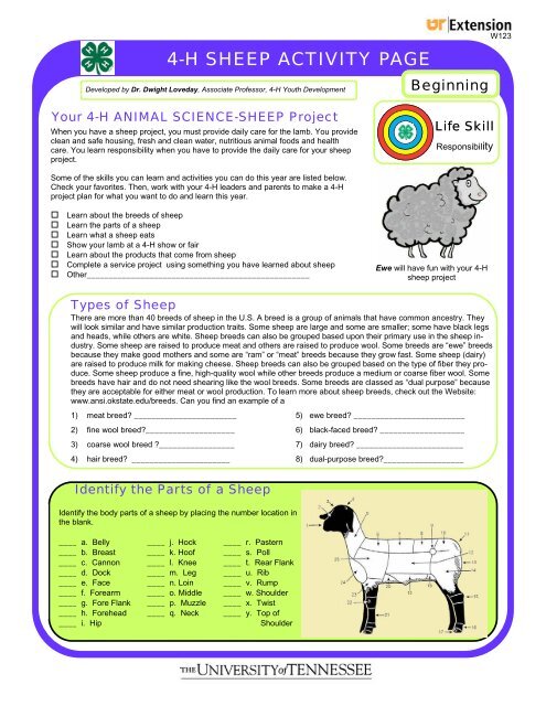 Sheep Activity Sheet - Cooperative Extension