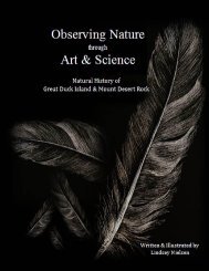 Observing Nature through Art & Science - College of the Atlantic