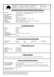 Foglie de platino - Elephant Dental