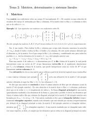 Tema 2: Matrices, determinantes y sistemas lineales