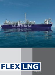 FLEX LNG brochure