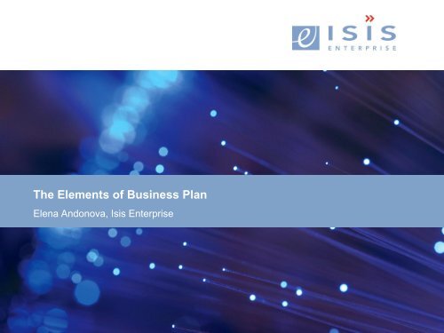 The Elements of Business Plan