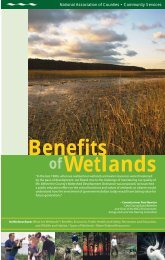 Benefits of Wetlands - Trinity Waters