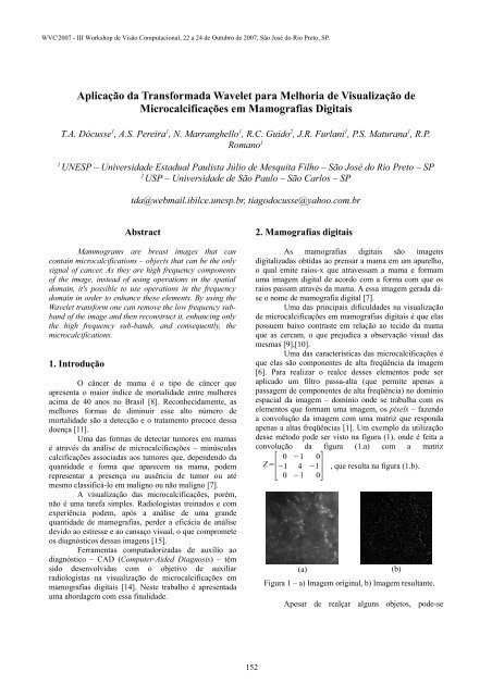 III WVC 2007 - Iris.sel.eesc.sc.usp.br - USP