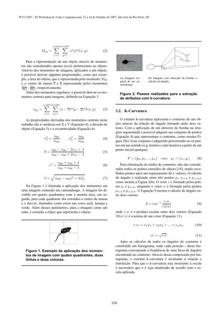 III WVC 2007 - Iris.sel.eesc.sc.usp.br - USP