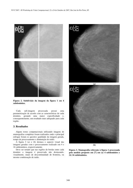 III WVC 2007 - Iris.sel.eesc.sc.usp.br - USP