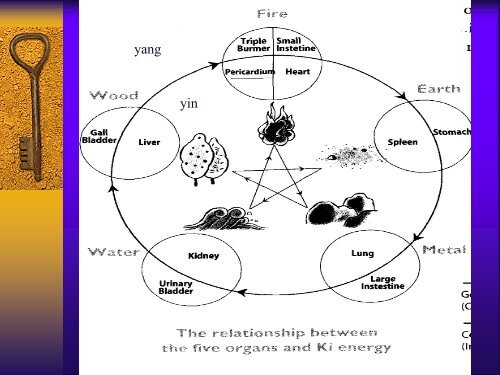 Introduction to Chinese Medicine - The Myositis Association