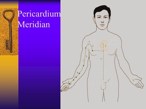 Introduction to Chinese Medicine - The Myositis Association