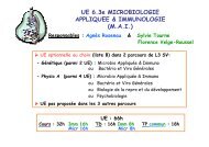 UE 6.3e MICROBIOLOGIE APPLIQUEE & IMMUNOLOGIE (M.A.I.)