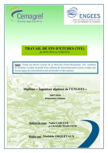 PDF (Rapport) - ENGEES