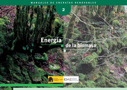 EnergÃ­a de la Biomasa - Ciemat