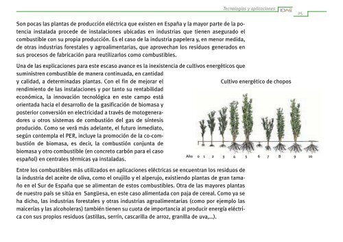 EnergÃ­a de la Biomasa - Ciemat