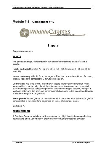 Module # 4 â Component # 12 Impala - WildlifeCampus