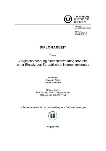 DIPLOMARBEIT Vergleichsrechnung einer Netzwerkbogenbrücke ...