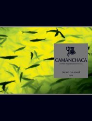 Memoria Anual 2010 - Camanchaca