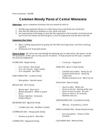 Lab Common Woody Plants - Employees Csbsju