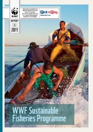 WWF Sustainable Fisheries Programme Annual ... - WWF South Africa