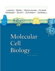 Molecular Cell Biology Fifth Edition