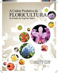 A cadeia produtiva da floricultura no estado do EspÃ­rito Santo