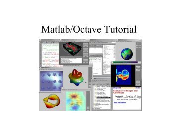 Matlab/Octave Tutorial