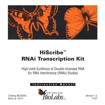 manual HiScribe RNAi Transcription Kit E2000 - New England Biolabs