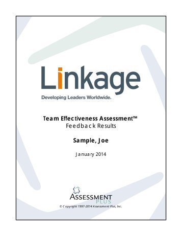 Team Effectiveness Assessment Feedback Results ... - Linkage, Inc.