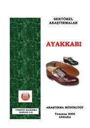 Ayakkabı Sektör Araştırması - Türkiye Kalkınma Bankası