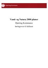 Vand- og Natura 2000 planer