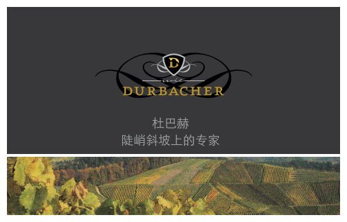 杜巴赫陡峭斜坡上的专家 - Durbacher Winzergenossenschaft