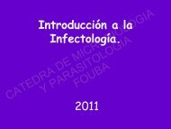 introduccion a la infectologia.pdf