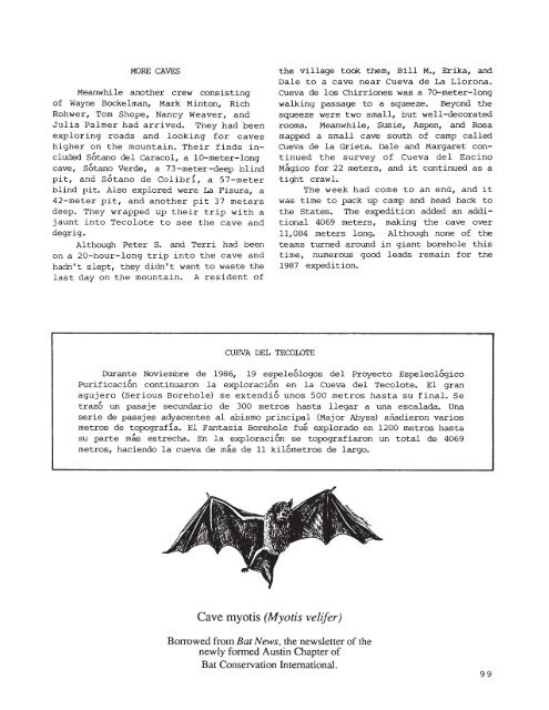 8MB PDF - Association for Mexican Cave Studies