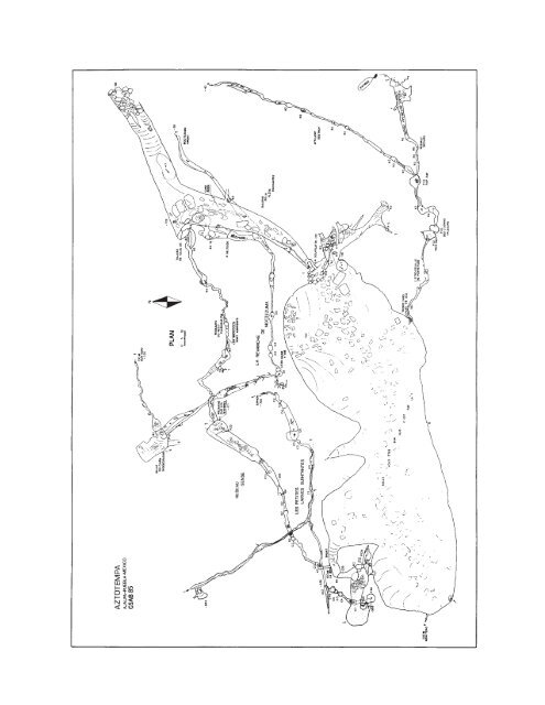 8MB PDF - Association for Mexican Cave Studies