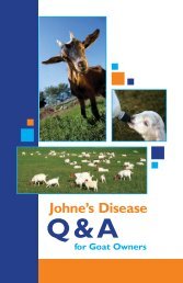 Johne's disease in goats