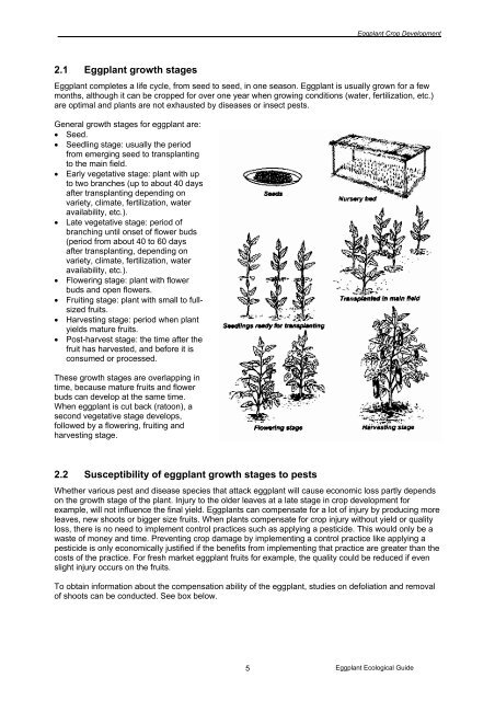 Eggplant Integrated Pest Management AN ECOLOGICAL GUIDE