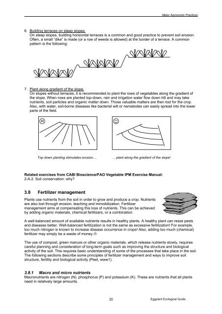 Eggplant Integrated Pest Management AN ECOLOGICAL GUIDE