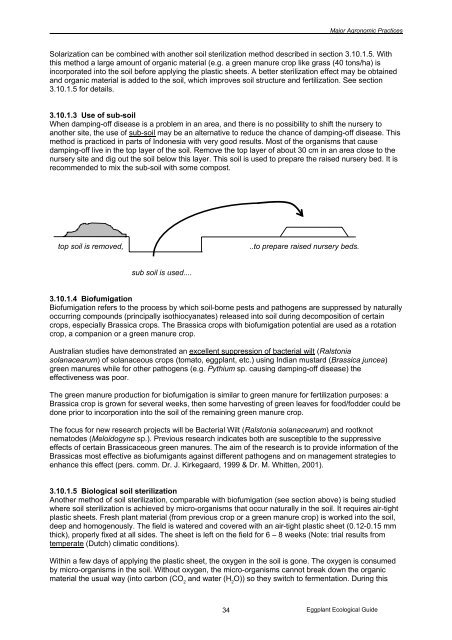 Eggplant Integrated Pest Management AN ECOLOGICAL GUIDE