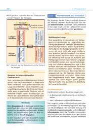 5.3.3 Atemmechanik und Ventilation