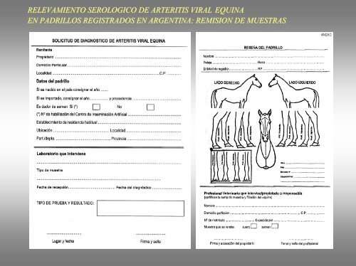 Arteritis Viral Equina