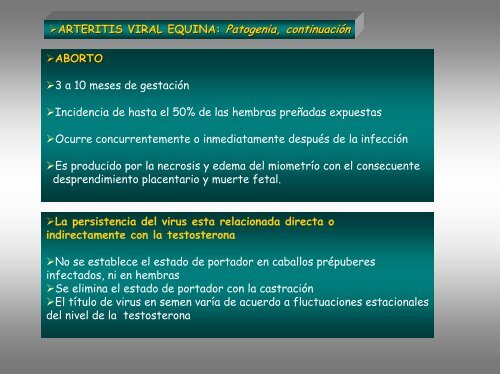 Arteritis Viral Equina