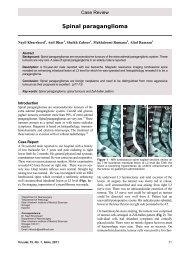 Spinal paraganglioma - Pan Arab Nerosurgery