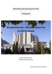 wunddokumentation_-_wundbehandlung_im__lkh_hohenems 1,41 ...