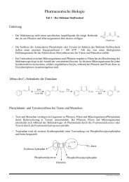 Vorlesung Pharmazeutische Biologie Derivate des Shikimat ...