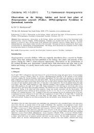 Herpetogramma paper.cwk (WP) - Calodema