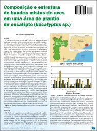 Composição e estrutura de bandos mistos de aves em uma área de ...