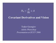 Covariant Derivatives and Vision - Todor Georgiev