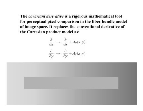 Covariant Derivatives and Vision - Todor Georgiev