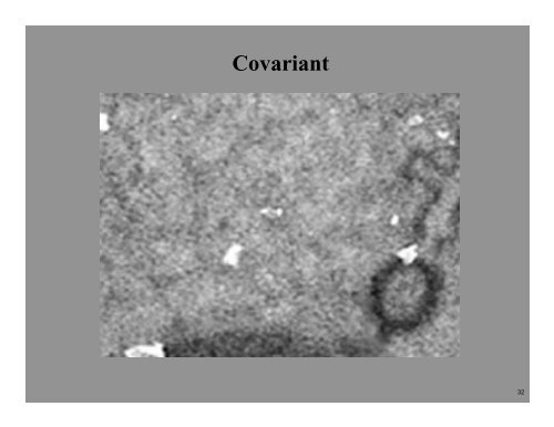 Covariant Derivatives and Vision - Todor Georgiev