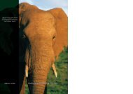 park management plan addo elephant park ... - SANParks