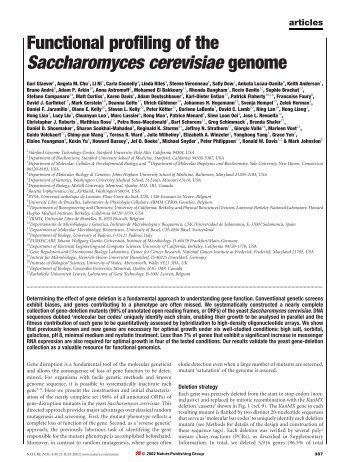 Functional profiling of the Saccharomyces cerevisiae genome