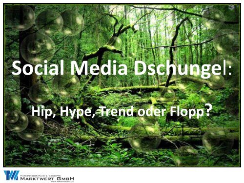 Durchblick im Social Media Dschungel